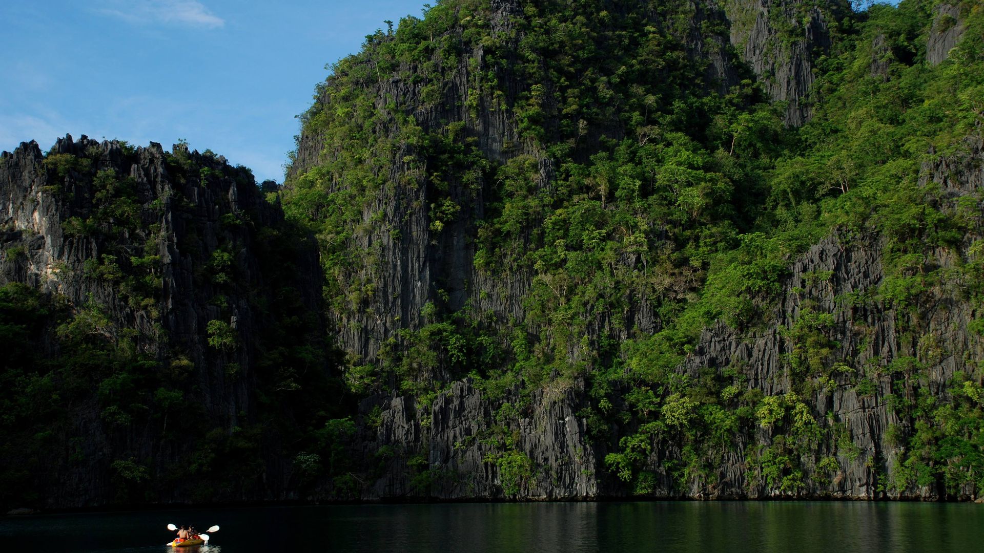 Palawan Tourism Logo